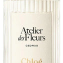 Chloe Atelier des Fleurs Cedrus - Parf'art